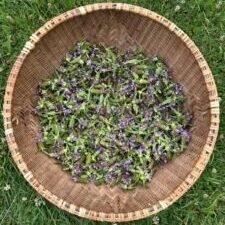 herb-basket